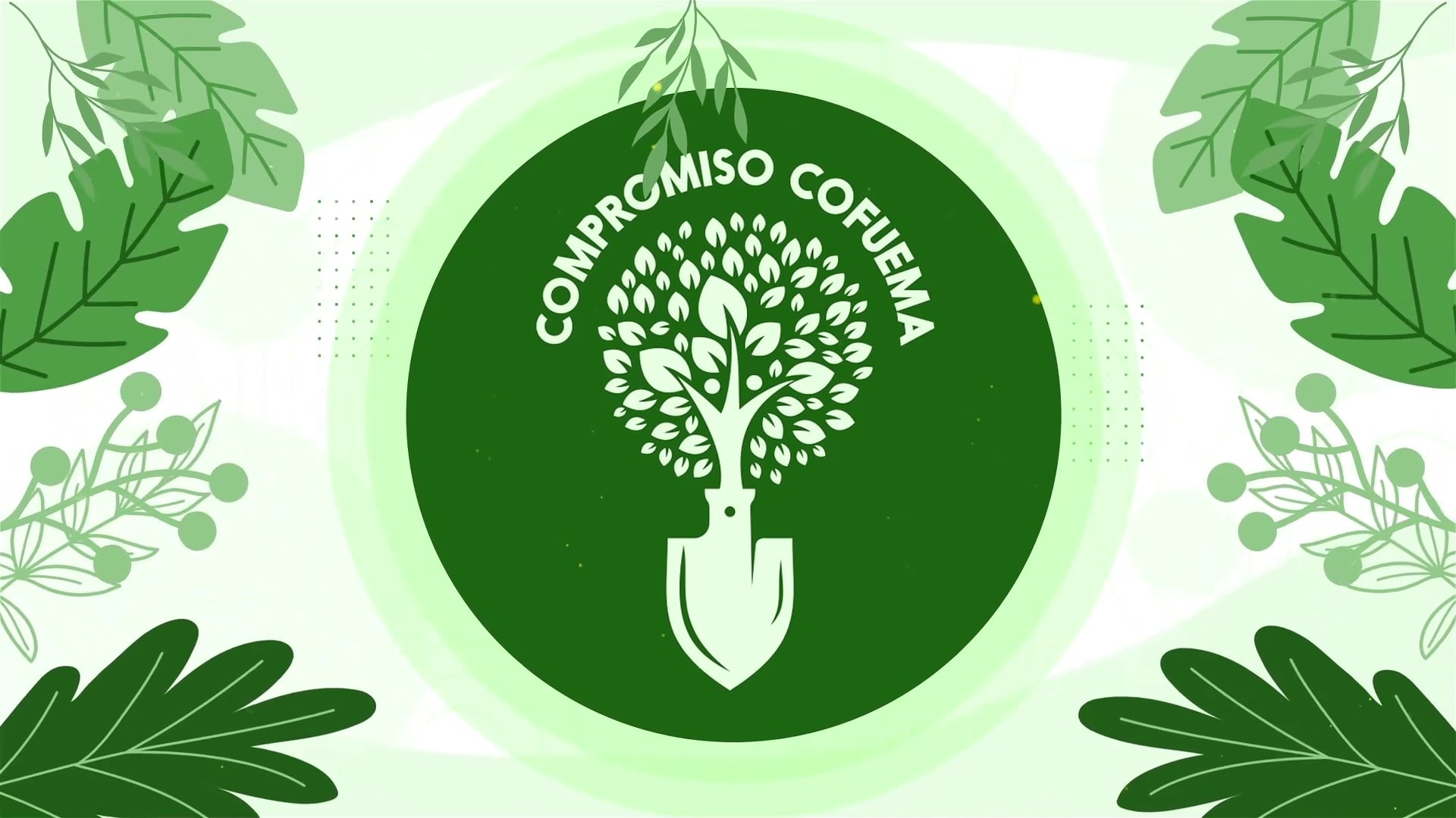 Video de Propósito Social