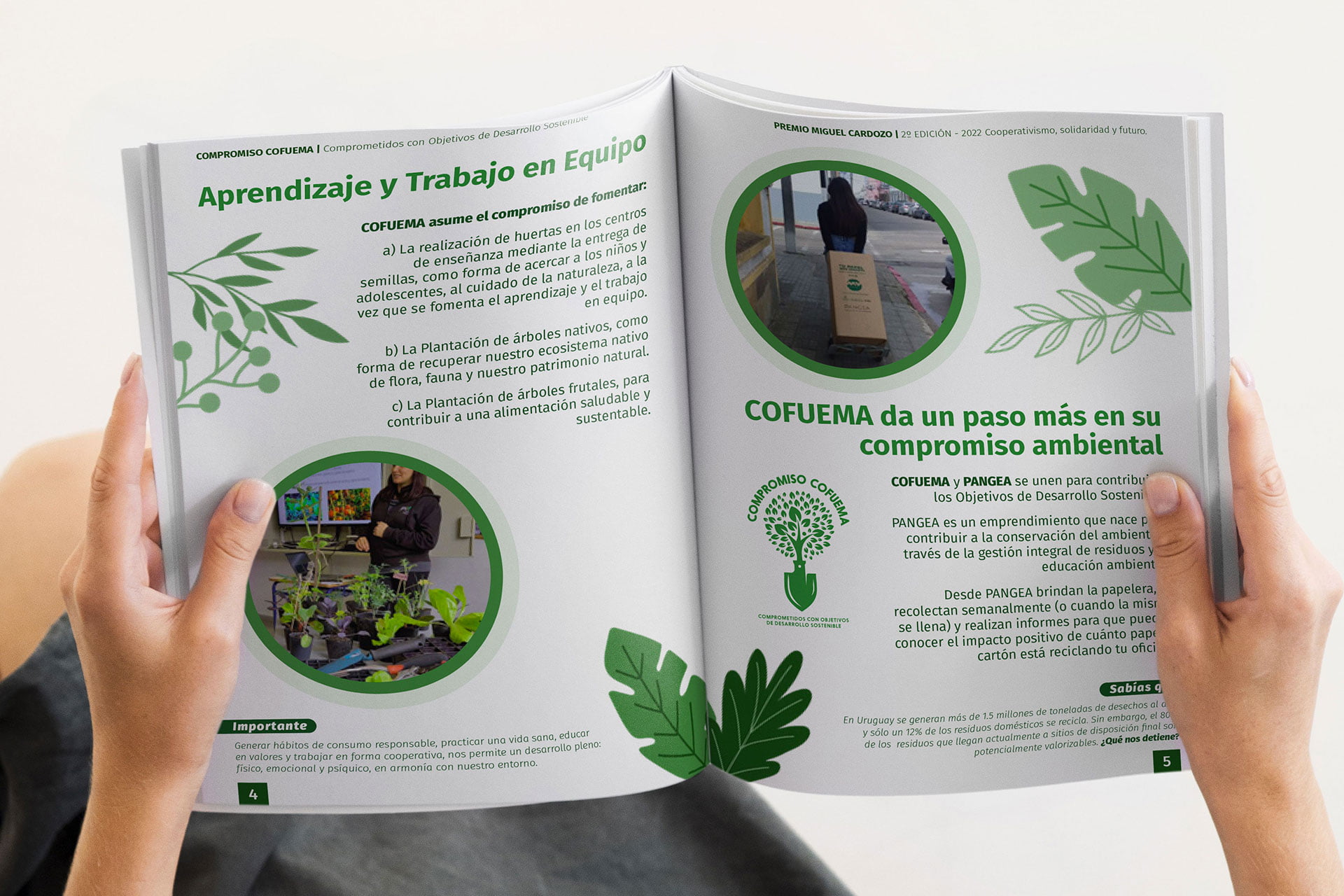 Diseño Gráfico y UI/UX