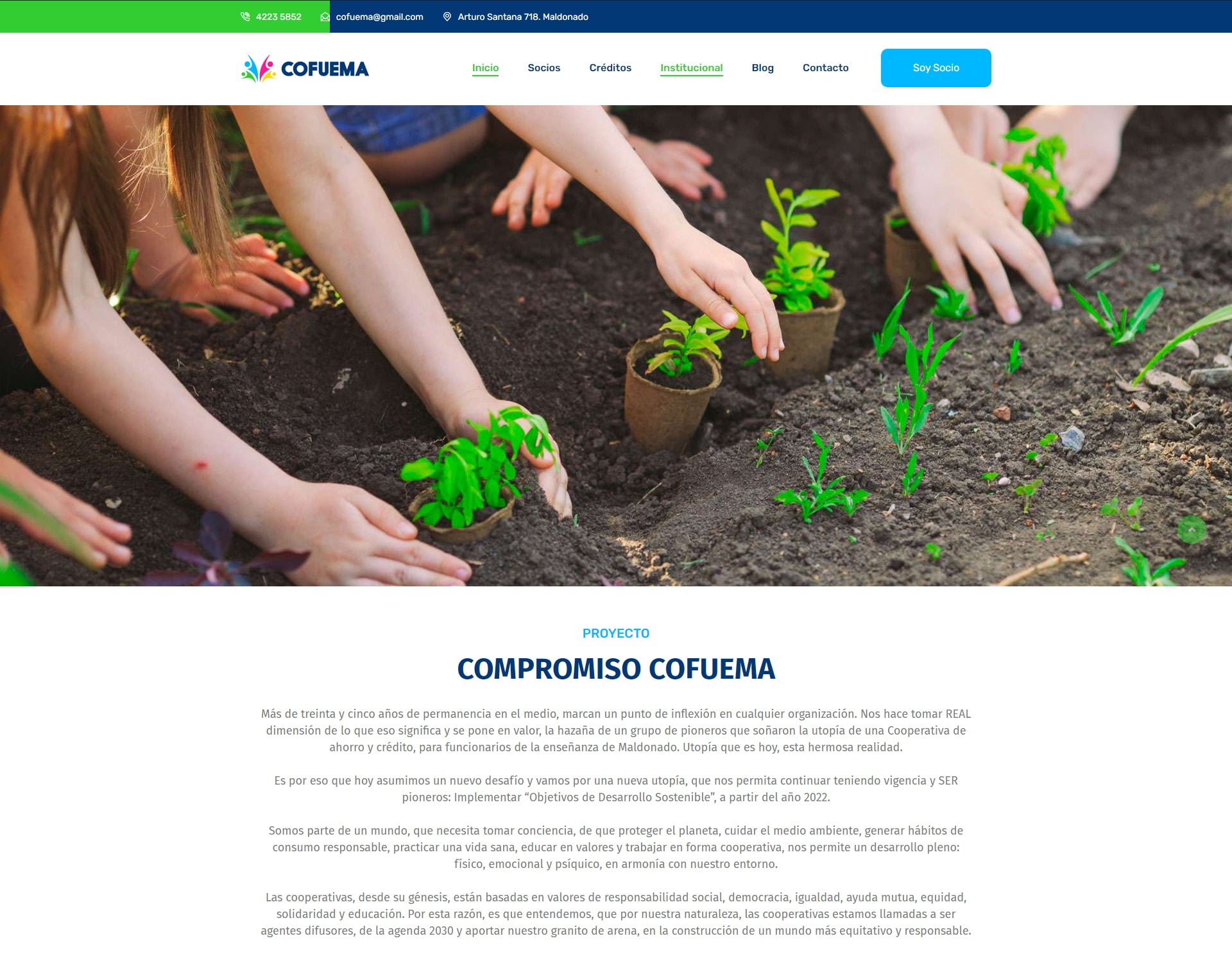Diseño UI/UX y Desarrollo Web COFUEMA